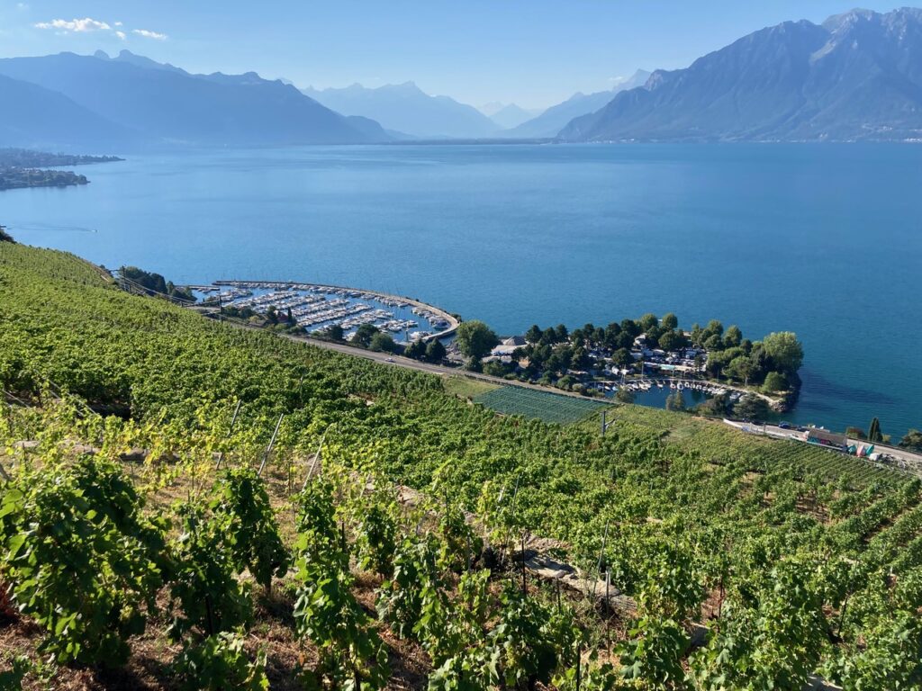 Le port de Vevey sur le lac Léman. Emplacement de la Namade 830 Tzigane de SailCom. Boatsharing et location de voiliers sur le lac Léman