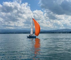 IMG_20210802_WA0002